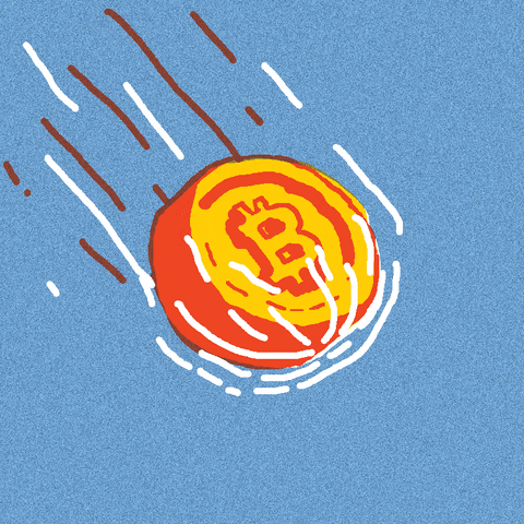 giphy (10)